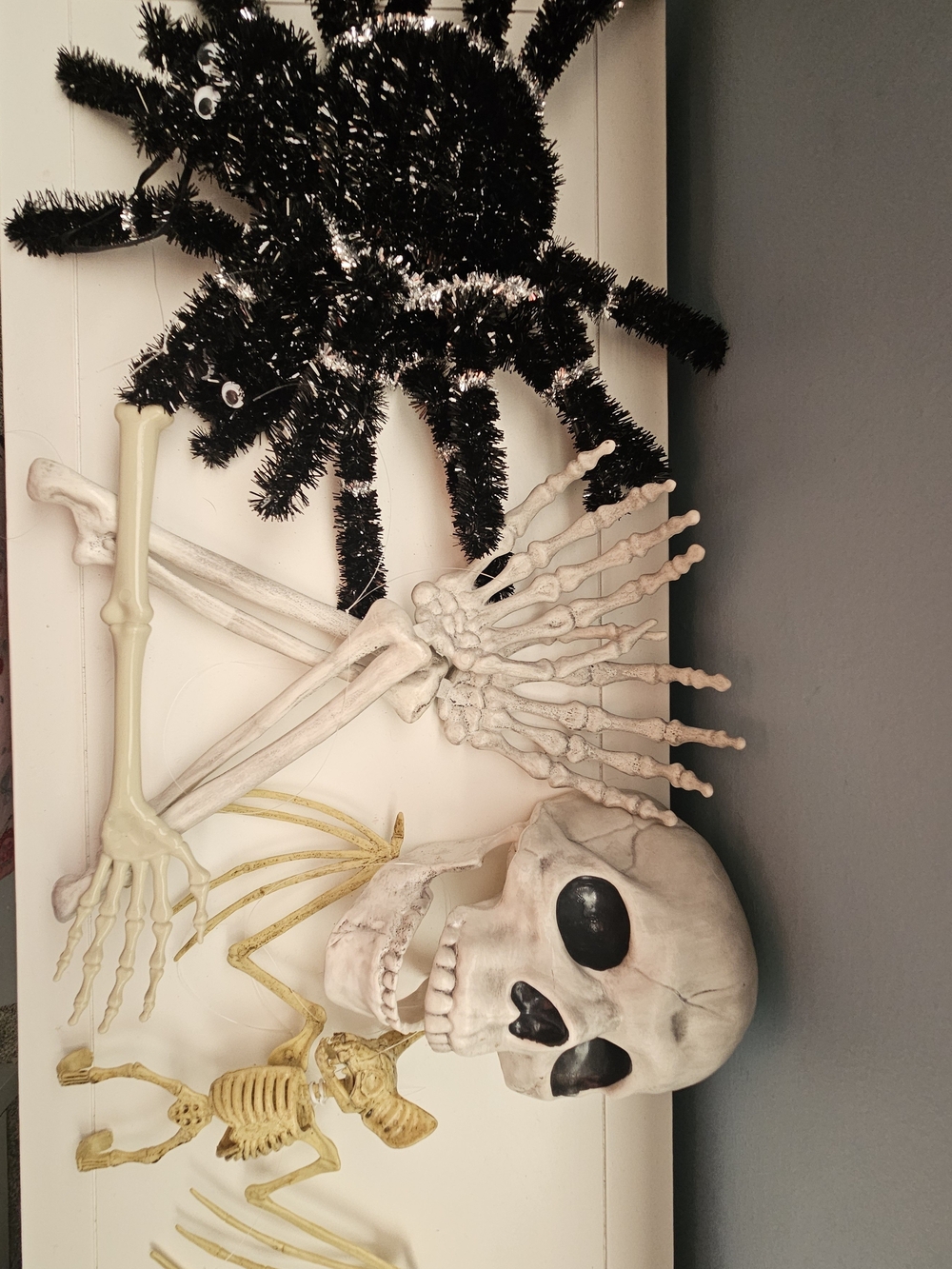 Halloween Skull and Skeleton Decoration Set - Black & Bone